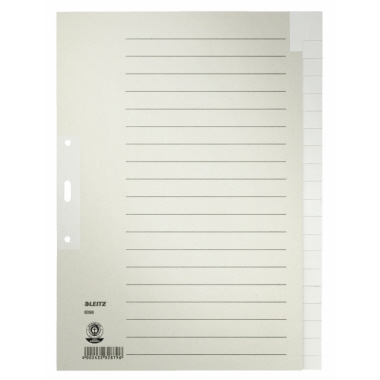 Register A4 20-teilig blanko